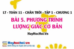 Phương trình lượng giác cơ bản và cách giải, phương trình tương đương là gì? Toán 11 chân trời Tập 1 chương 1 Bài 5